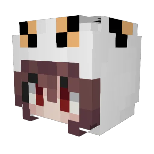 richwolf5 Minecraft avatar head, 3D render