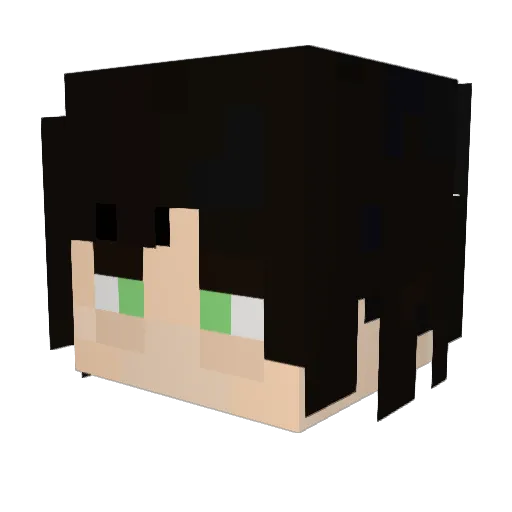 ricinide Minecraft avatar head, 3D render