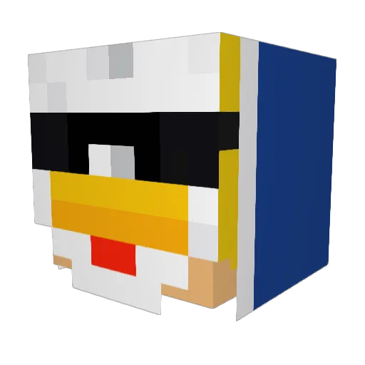 rickerboy Minecraft avatar head, 3D render