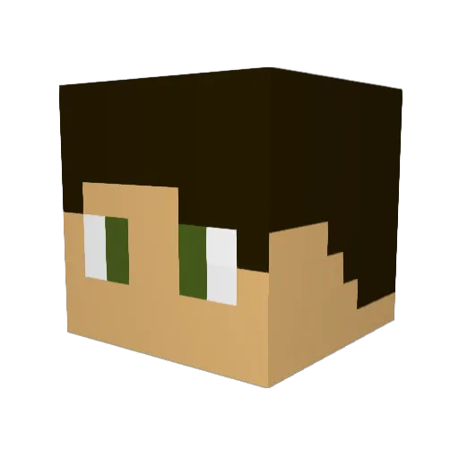 rickster2565 Minecraft avatar head, 3D render