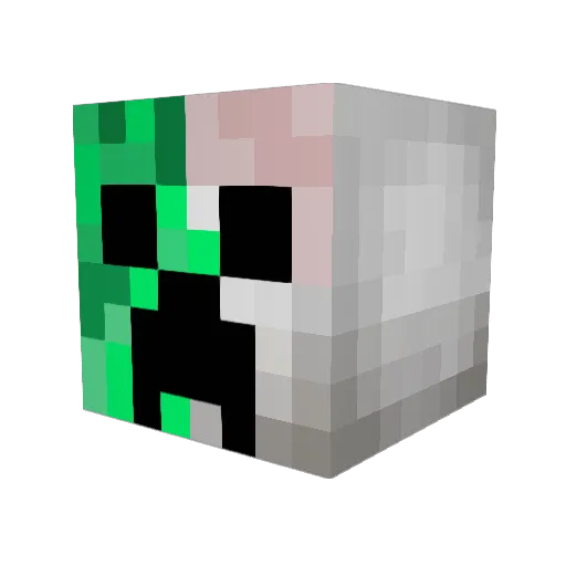 rickyb227 Minecraft avatar head, 3D render