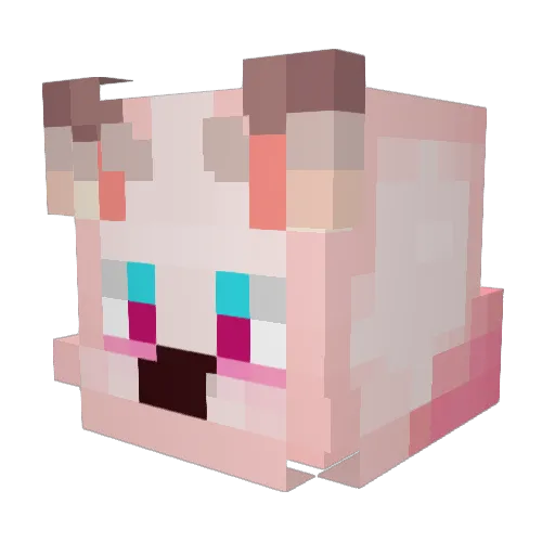 rickyeatacid Minecraft avatar head, 3D render