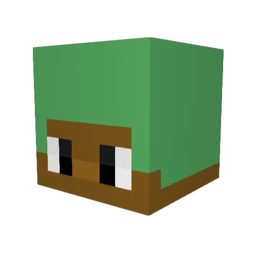 ricot4 Minecraft avatar head, 3D render