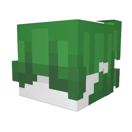 ricottq Minecraft avatar head, 3D render