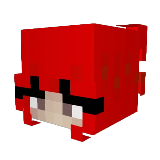 ricra7 Minecraft avatar head, 3D render