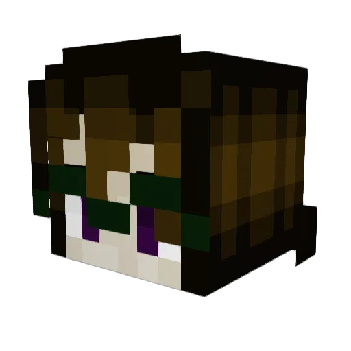 riddlebirds Minecraft avatar head, 3D render
