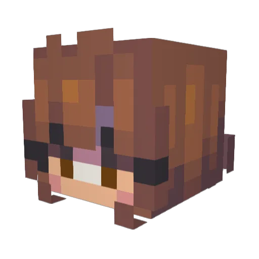 riddlemerthis Minecraft avatar head, 3D render