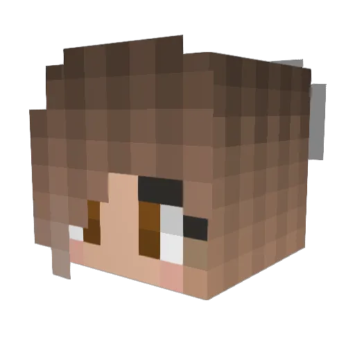 riddler613 Minecraft avatar head, 3D render