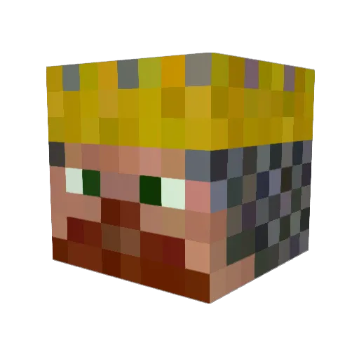 riderbros14 Minecraft avatar head, 3D render