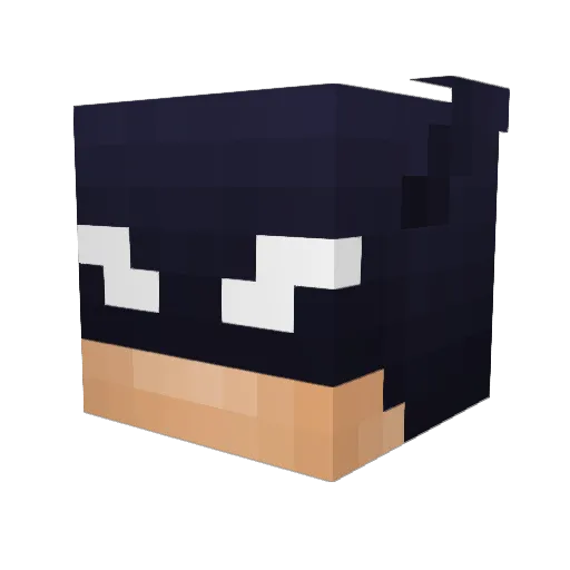 ridinroundtown Minecraft avatar head, 3D render