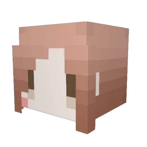 ridish21 Minecraft avatar head, 3D render