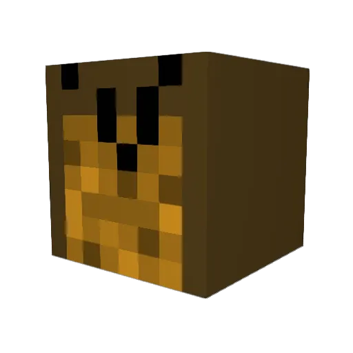 ridry69 Minecraft avatar head, 3D render