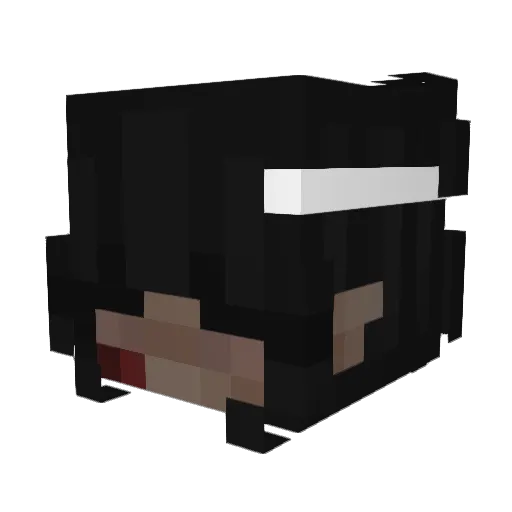 ridzles Minecraft avatar head, 3D render