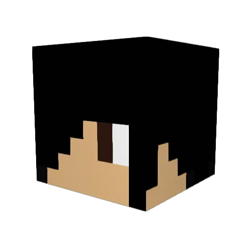 rielly2001 Minecraft avatar head, 3D render