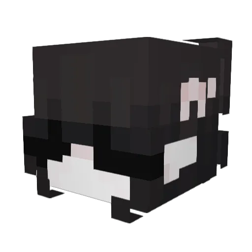 rieo Minecraft avatar head, 3D render