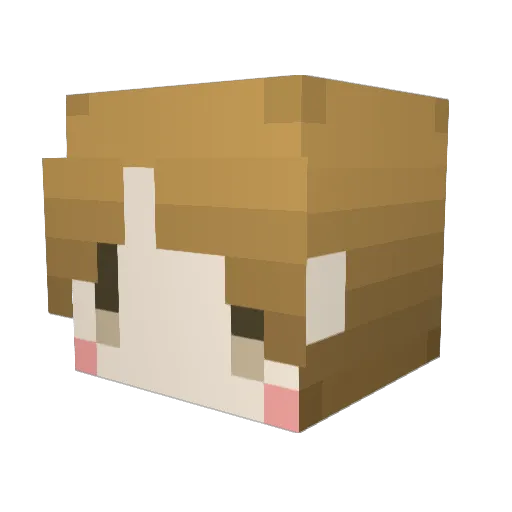 riesatou Minecraft avatar head, 3D render