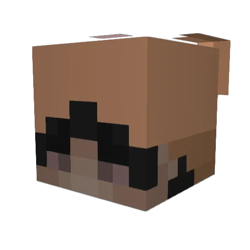 riesgningisdn Minecraft avatar head, 3D render