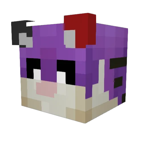 riflecat420 Minecraft avatar head, 3D render