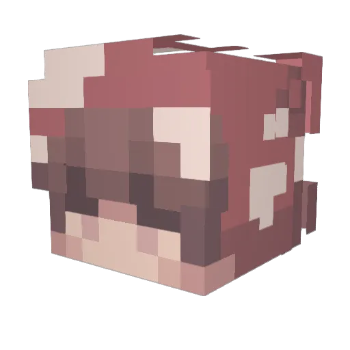 rift82 Minecraft avatar head, 3D render