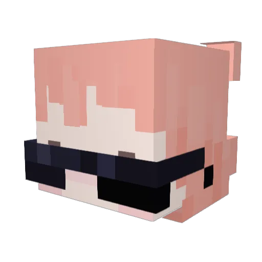 rigbycat Minecraft avatar head, 3D render