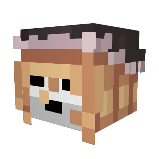 riges56 Minecraft avatar head, 3D render