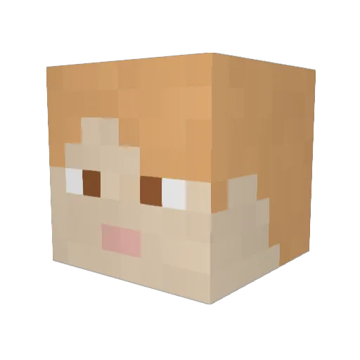 riggen74 Minecraft avatar head, 3D render