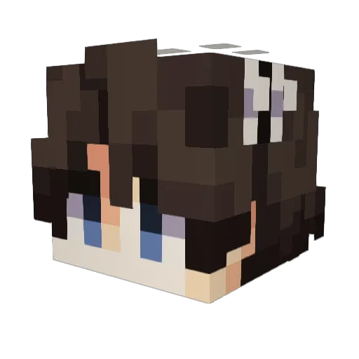 rightballtattoo Minecraft avatar head, 3D render