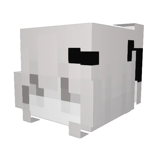 rightlithgt Minecraft avatar head, 3D render