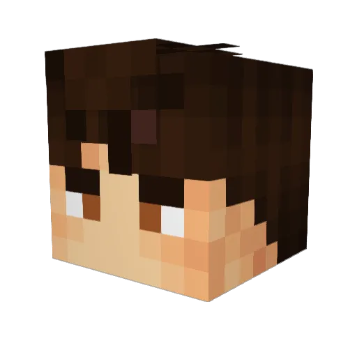 rigo481 Minecraft avatar head, 3D render