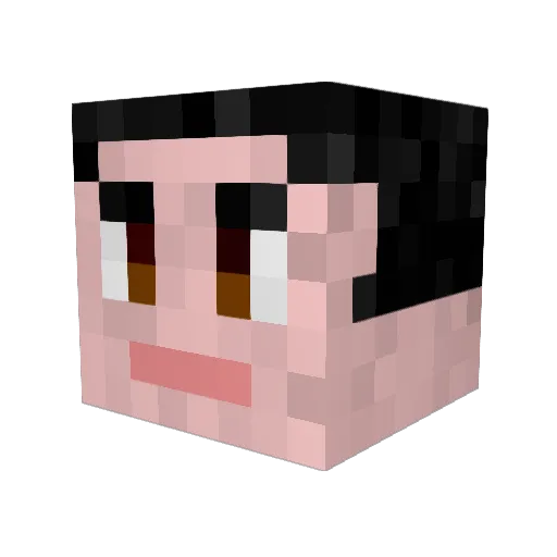 rigo961 Minecraft avatar head, 3D render