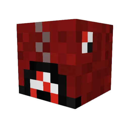 rigoy Minecraft avatar head, 3D render