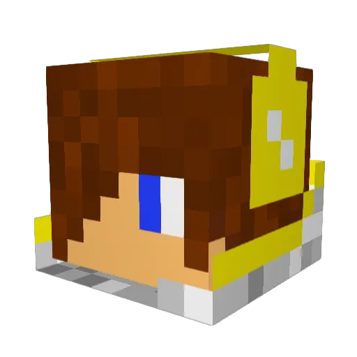 riguy1234 Minecraft avatar head, 3D render