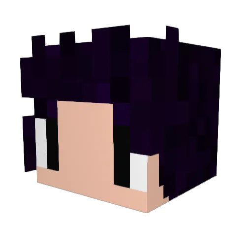 rihito Minecraft avatar head, 3D render