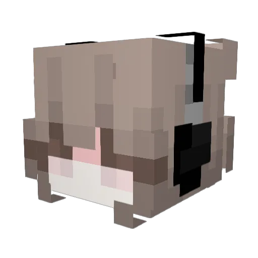 rihtardet Minecraft avatar head, 3D render