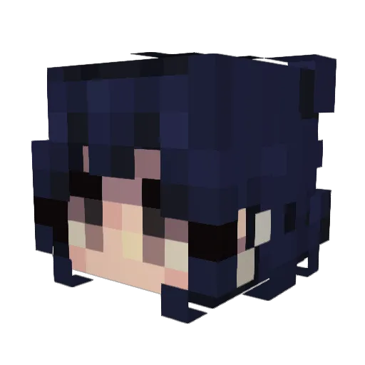 riiistyy Minecraft avatar head, 3D render