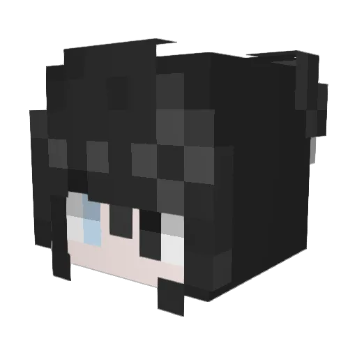 riina_n Minecraft avatar head, 3D render