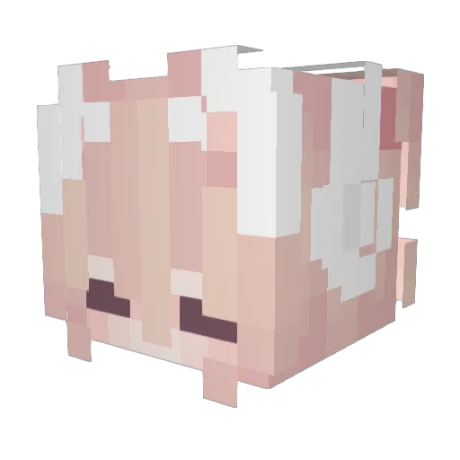 riingpop Minecraft avatar head, 3D render