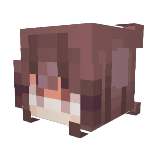 riinxq Minecraft avatar head, 3D render