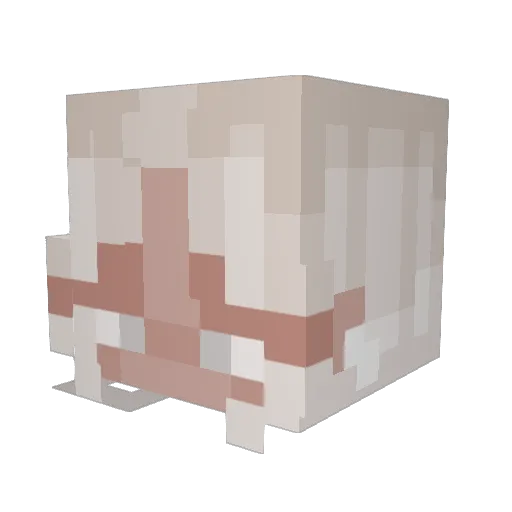 riiptiides Minecraft avatar head, 3D render