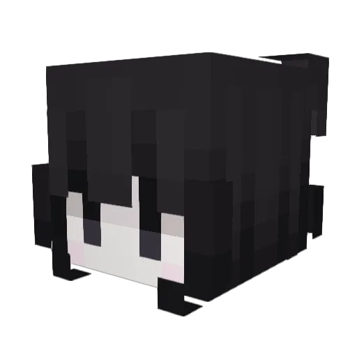 riissy Minecraft avatar head, 3D render
