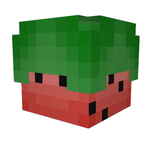 rijstgehakt Minecraft avatar head, 3D render