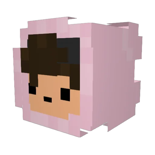 rikas_sten Minecraft avatar head, 3D render