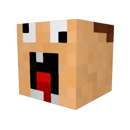 rikfenny Minecraft avatar head, 3D render