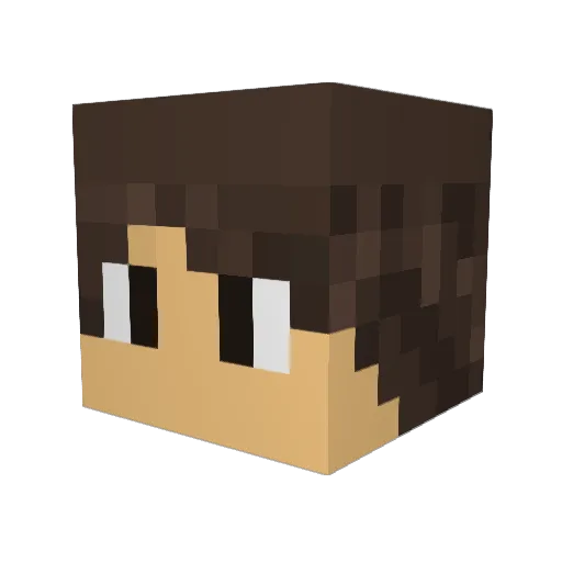 riki6116 Minecraft avatar head, 3D render