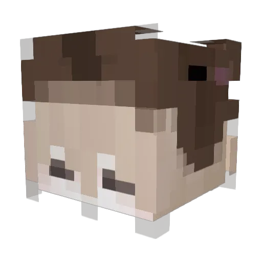 rikiiii0524 Minecraft avatar head, 3D render