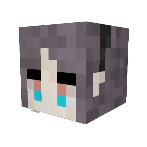 rikkapogg Minecraft avatar head, 3D render
