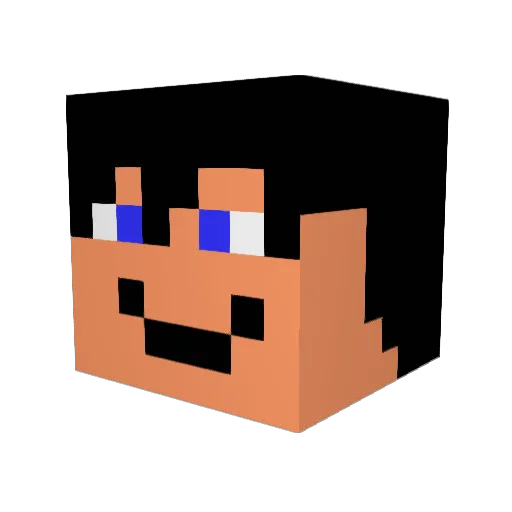 rikkert2711 Minecraft avatar head, 3D render