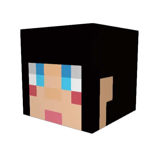 rikkun444 Minecraft avatar head, 3D render