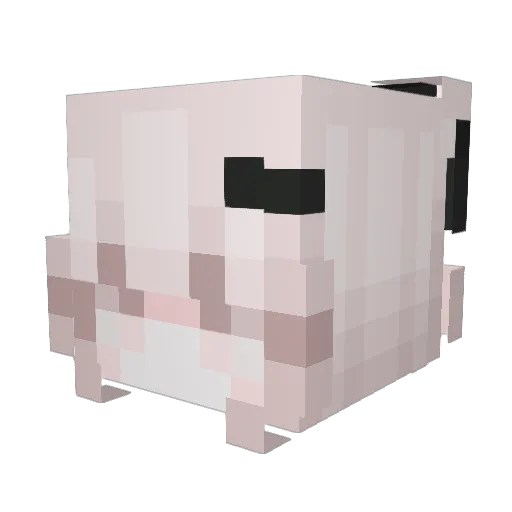 rikotera Minecraft avatar head, 3D render