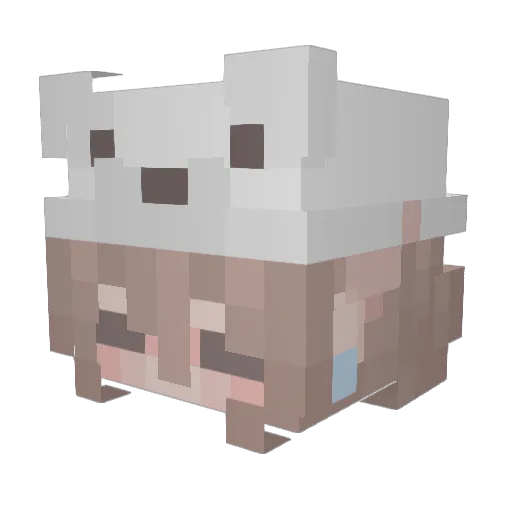 rikugans Minecraft avatar head, 3D render